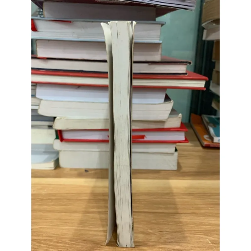 Một số chuyên đề về tôn giáo và chính sách tôn giáo ở Việt Nam 718342