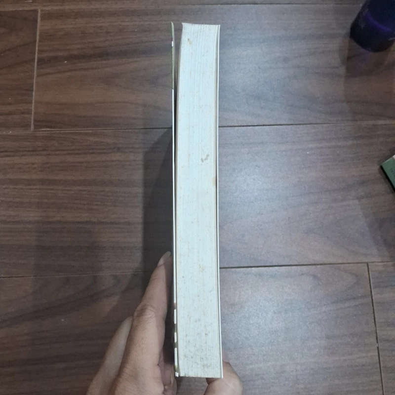 Si mê và liều lĩnh 506185