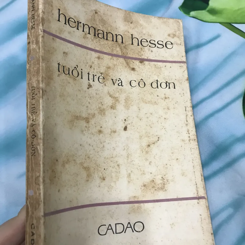 Tuổi trẻ và cô đơn 591267