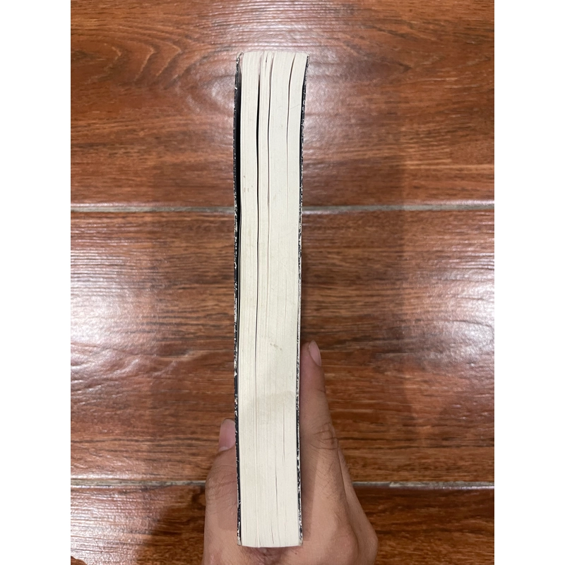 MIỀN NHỚ - ĐOÀN BẢO CHÂU - Sách có chữ ký của tác giả (6) 538837