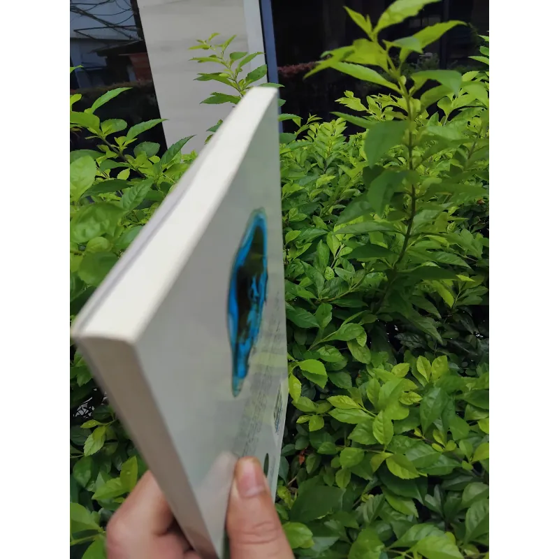 Những hình bóng cũ tập truyện ngắn của Ngọc Giao  989992