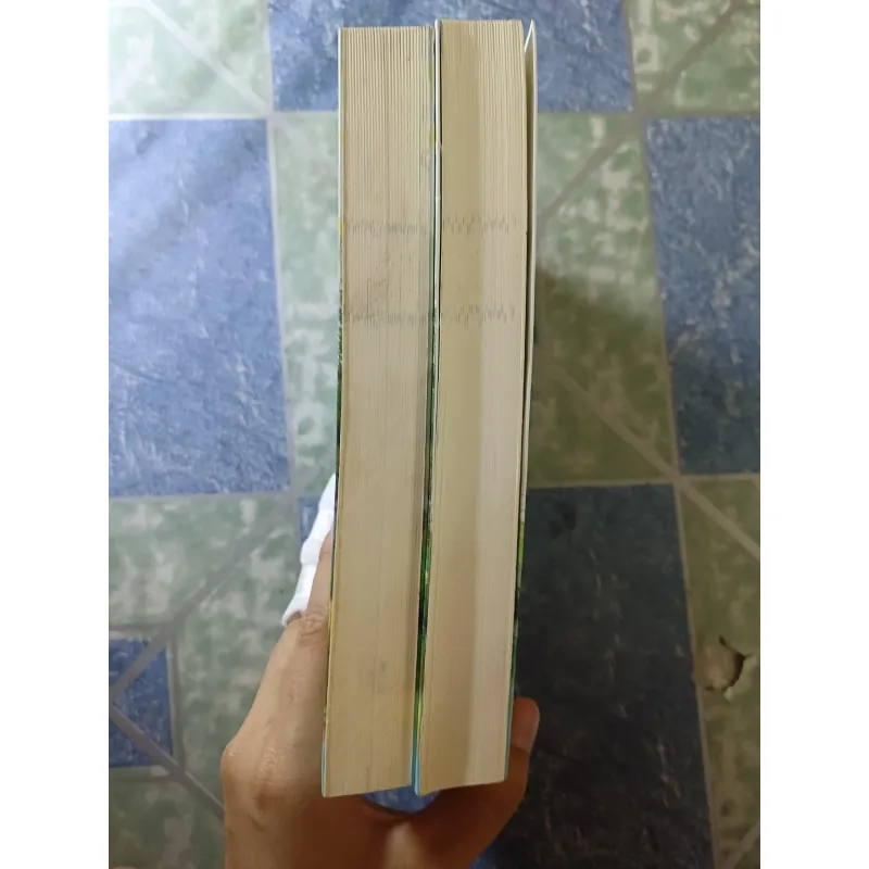 Gió Nam hiểu lòng tôi ( 2 tập) - Ngô Đồng Tư Ngữ 933621