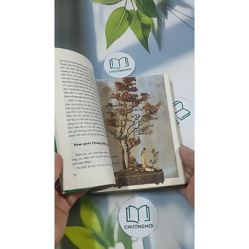 Bonsai: Cây dáng, thế và non bộ - Đỗ Hiệp 694948