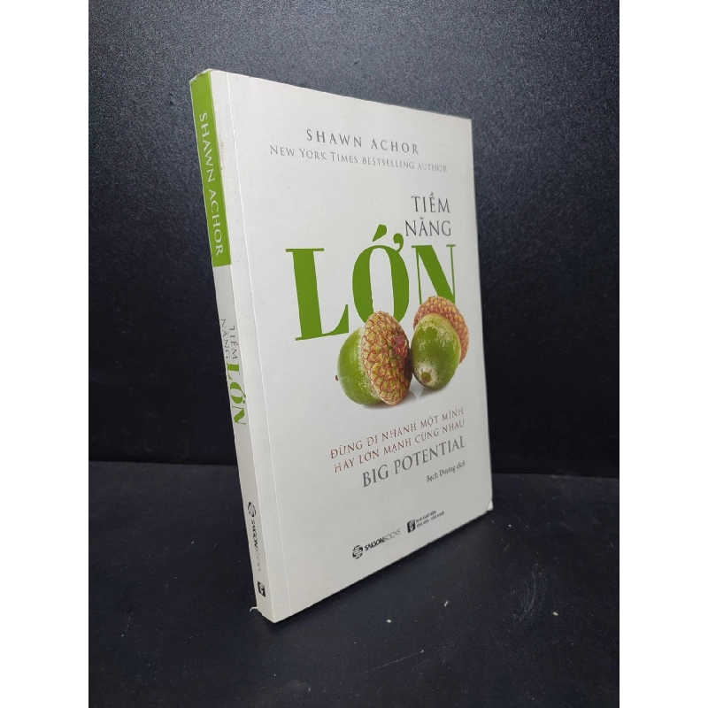 Tiềm năng lớn Shawn Achor 2019 mới 95% bấn nhẹ HCM.ASB2512 kỹ năng tư duy 912618