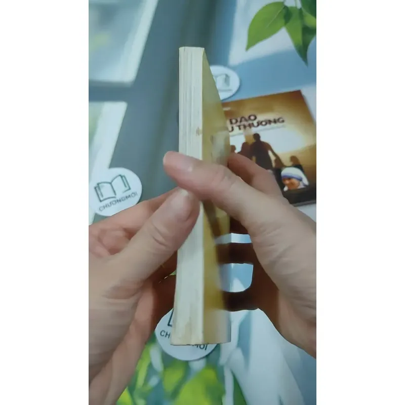 Combo: Kinh Thánh Thật Sự Dạy Gì, Đạo Yêu Thương 727295