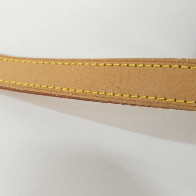 Túi xách vai Louis Vuitton Monogram Salony M42250 - Hàng hiệu Chính hãng 802950