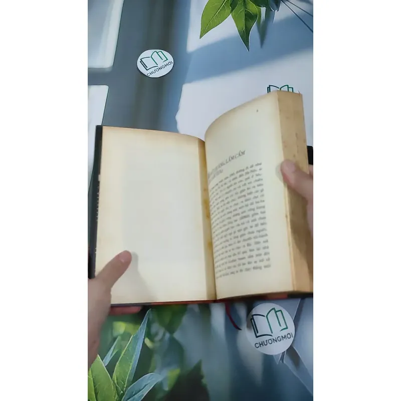 [MIỄN PHÍ BỌC SÁCH] Ăn Cơm Mới, Nói Chuyện Cũ: Hậu Giang - Ba Thắc - Vương Hồng Sển 990442