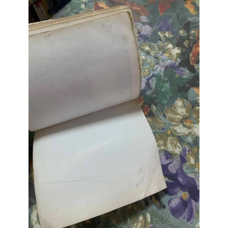 Bí Quyết Vẽ Tranh Thủy Mặc - Phạm Cao Hoàn 564871