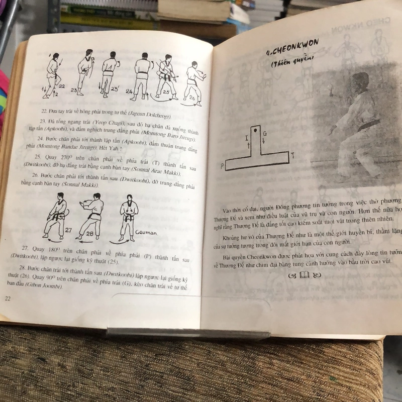 25 BÀI QUYỀN TAEKWONDO  238707