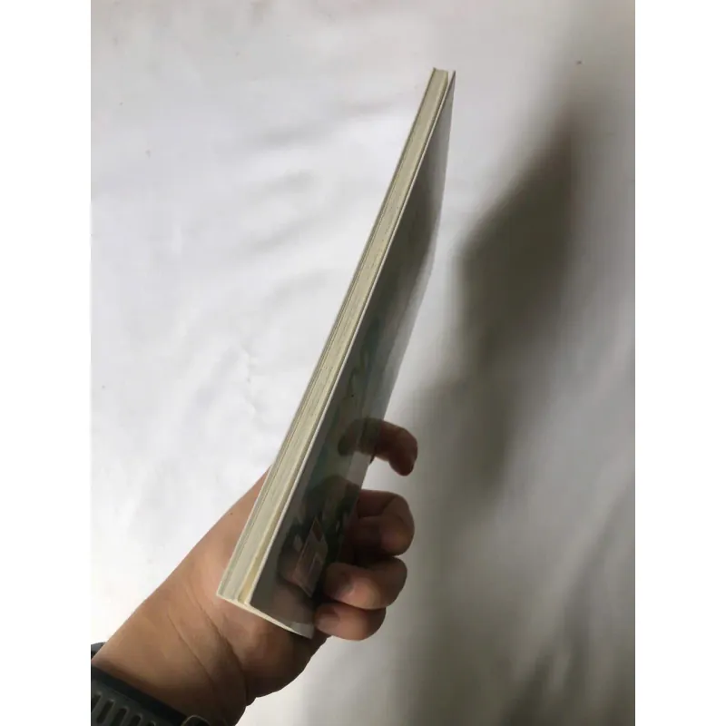 Bước Về Phía Mặt Trời - Nguyễn Luân 734581