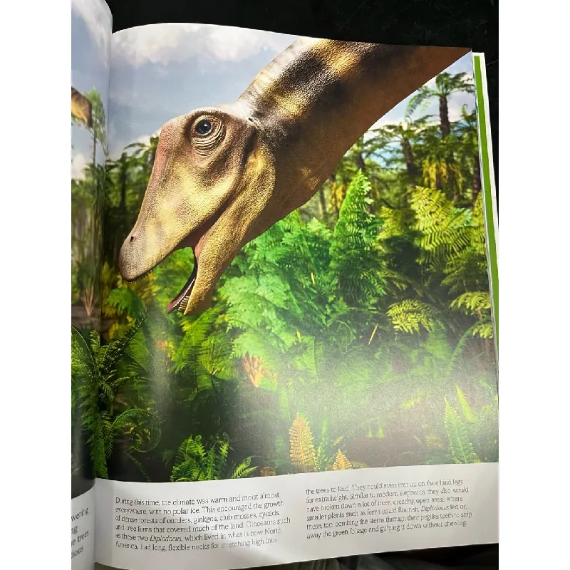 Trees , leaves , flower , seeds - Smithsonian 720544