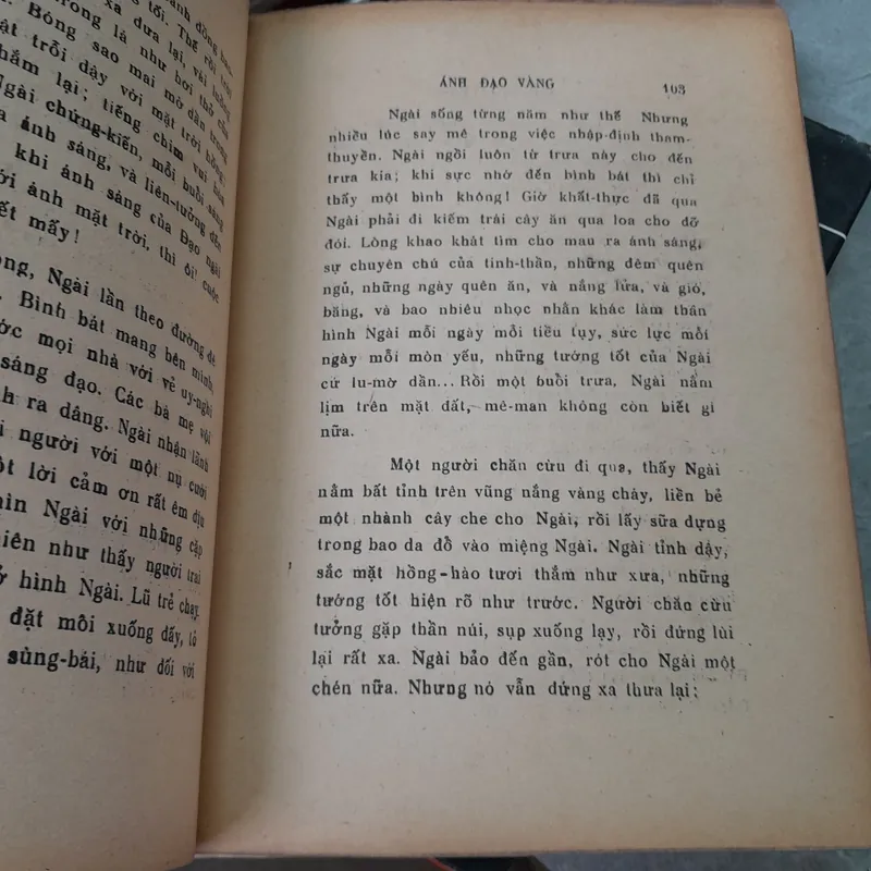 ÁNH ĐẠO VÀNG - VÕ ĐÌNH CƯỜNG 729068