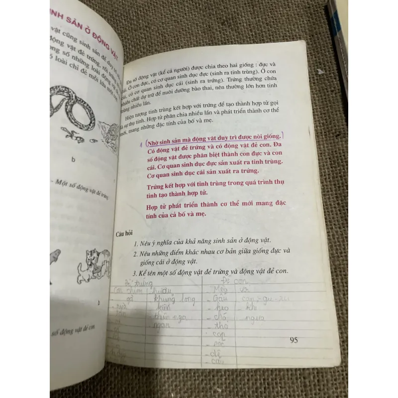 Tự nhiên xã hội lớp 5 , 2 tập  797063