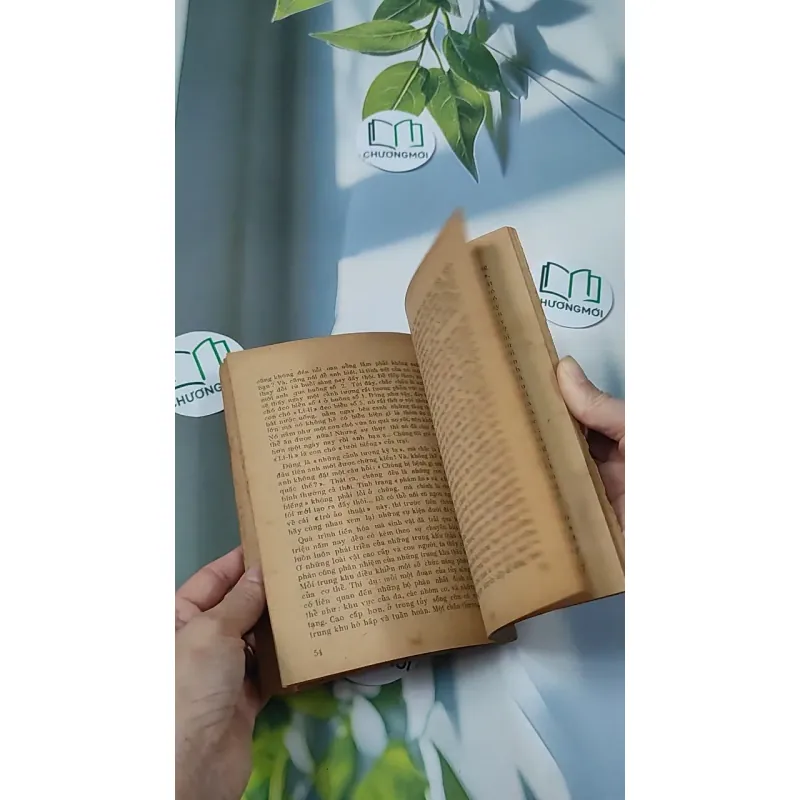 [XƯA] Bí Mật Đại Não (1982) - BS. Cao Trường Thọ 775987