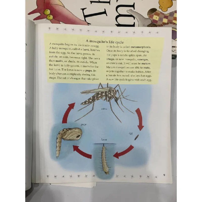 The Life Cycle of a Mosquito – Bobbie Kalman 559686