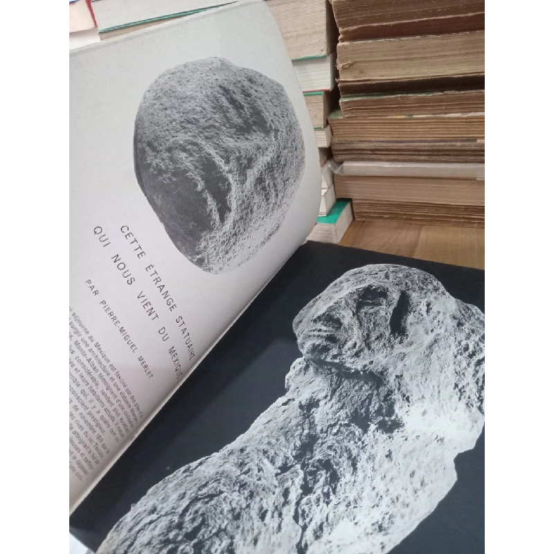 Des arts - Jardin 935021