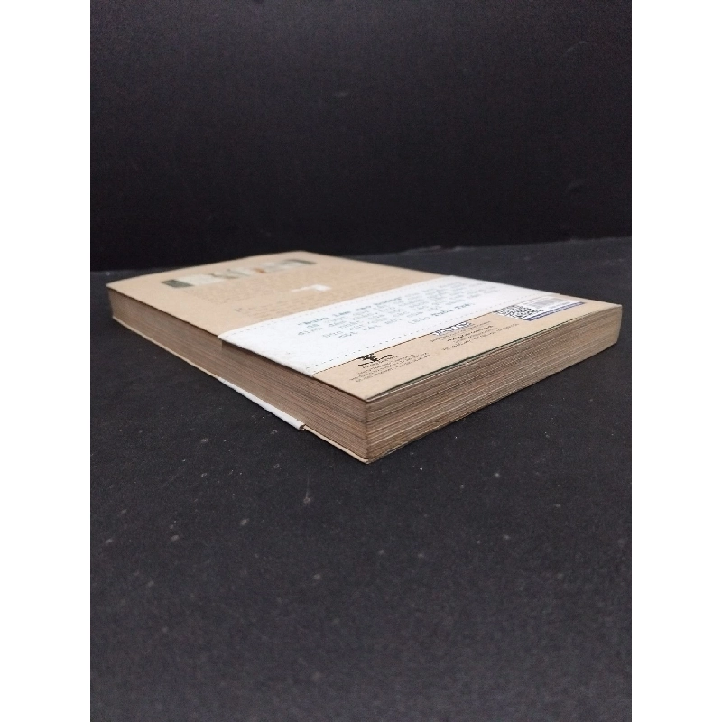 Buồn làm sao buông mới 70% ố vàng 2016 HCM1008 Anh Khang VĂN HỌC 916503