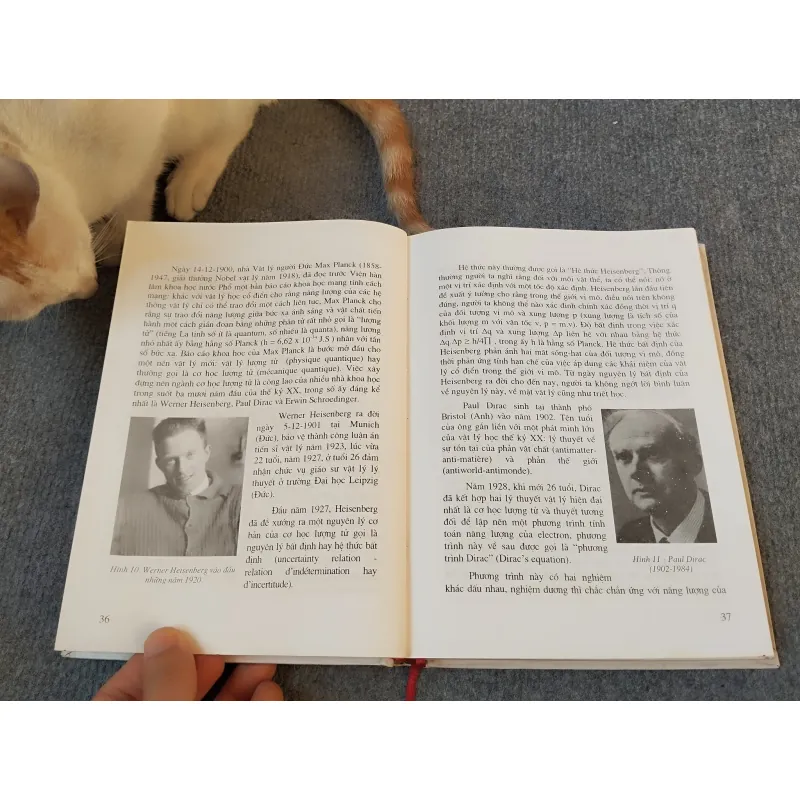 NĂNG LƯỢNG NGUYÊN TỬ VÀ ĐỜI SỐNG - GS.TS. ĐINH NGỌC LÂN 727184