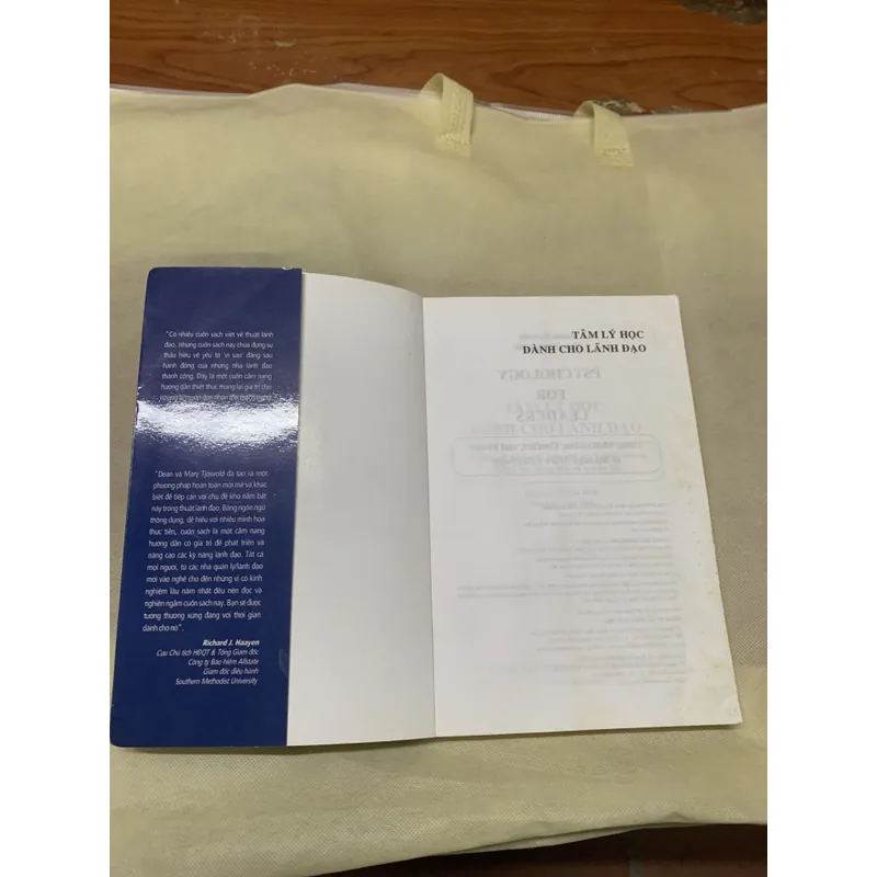 TÂM LÝ HỌC DÀNH CHO LÃNH ĐẠO khổ 16x24 738970