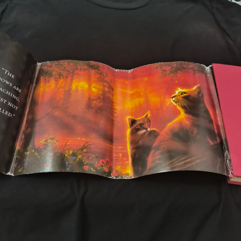 Warriors - River of Fire - Erin Hunter [Hardback] - Những chiến binh/Mèo chiến binh 547937