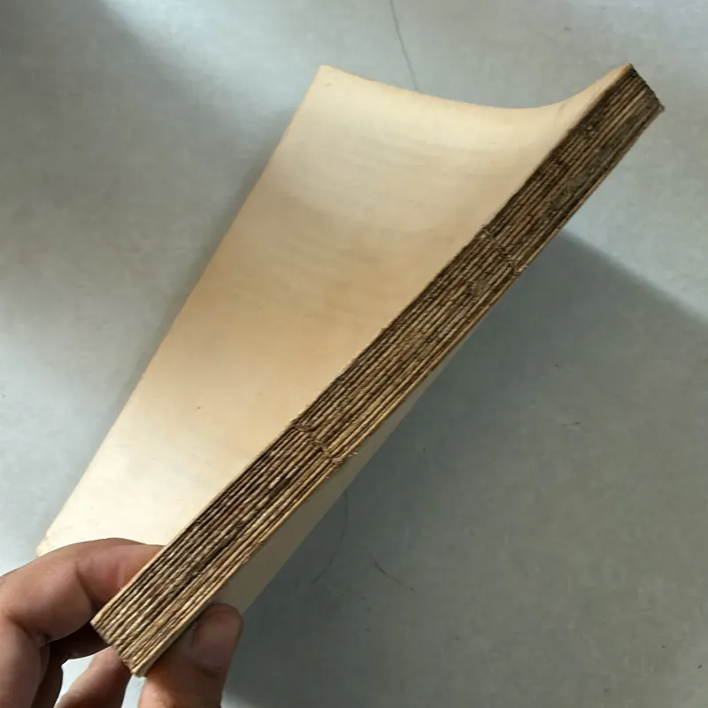 Sổ tay thanh toán quốc tế 739418