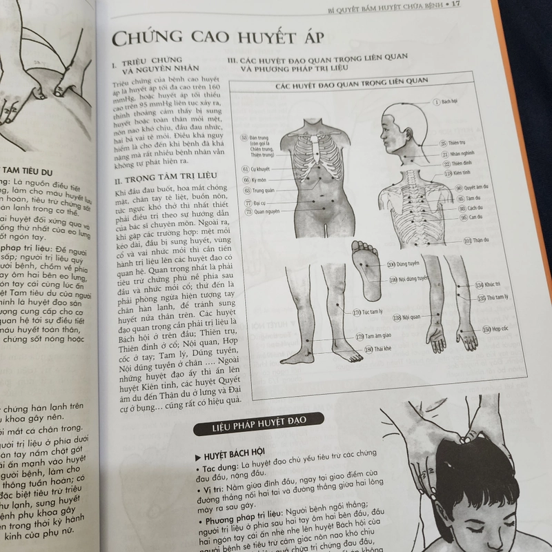Bí quyết bấm huyệt chữa bệnh | Katsusuke Serizawa 501252