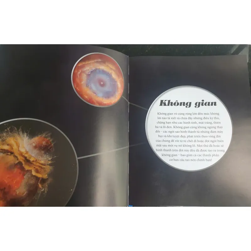 Vòng Đời - Vạn Vật Từ Khởi Đầu Cho Đến Kết Thúc 1009017