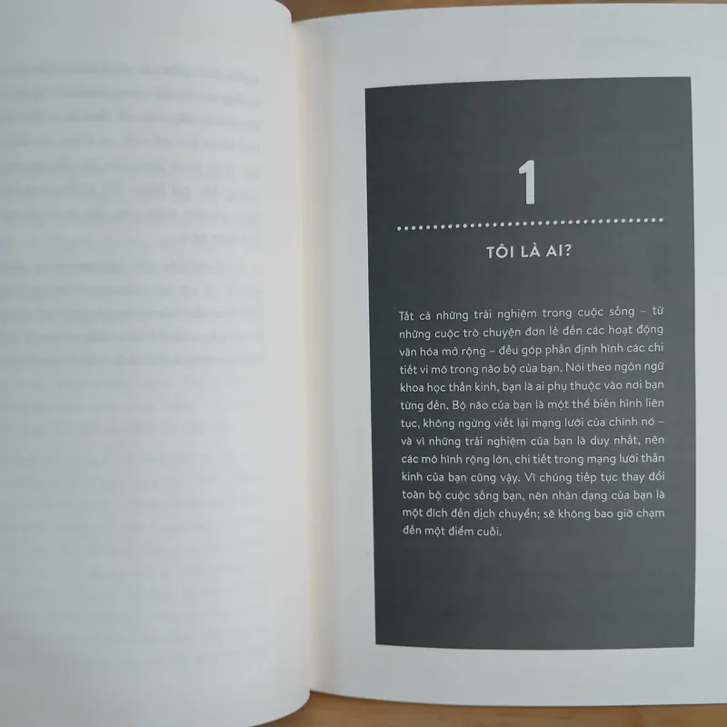 Não Bộ Kể Gì Về Bạn? - David Eagleman 673779