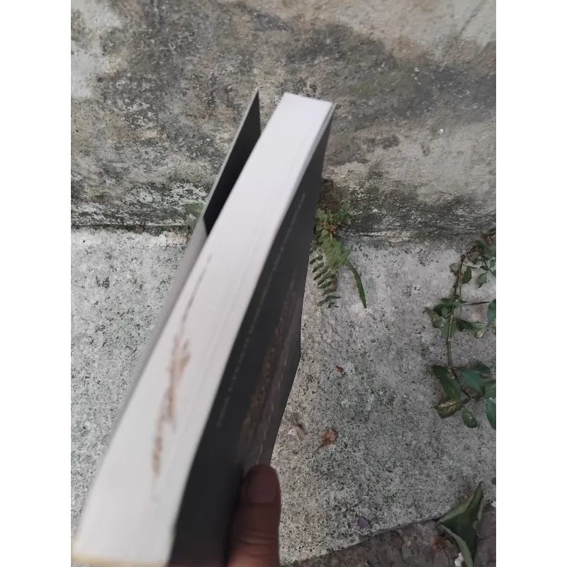Văn hóa nghệ thuật thời Lý  1037883