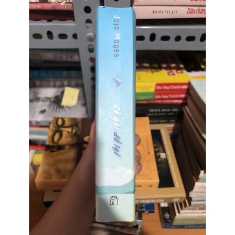 Cô gái để lại-tiểu thuyết 990539