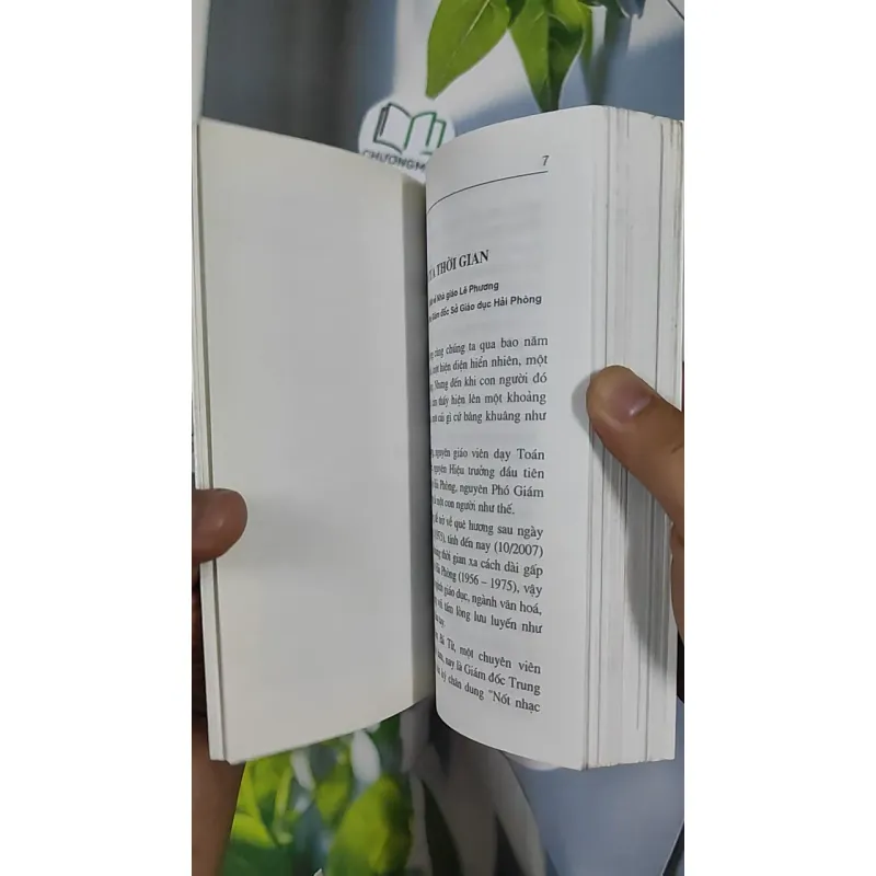 Gió Biển - Vũ Hoàng Lâm 798481