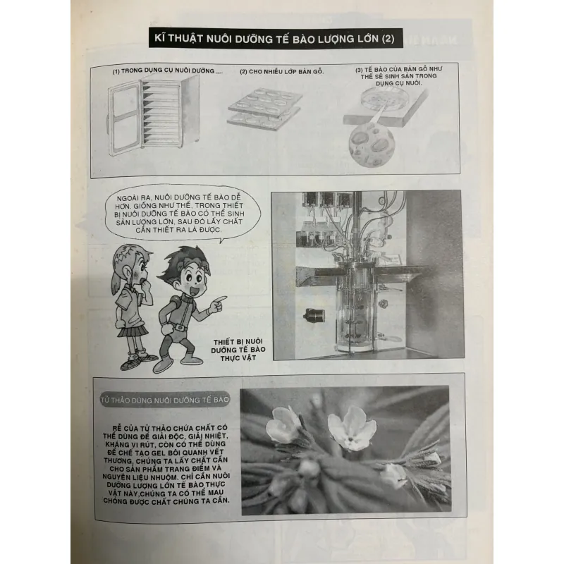 Combo 3 cuốn sách khoa học cho bé mê khám phá 926082