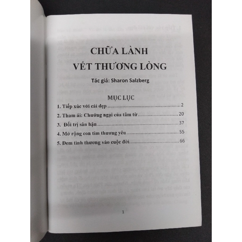Chữa lành vết thương lòng mới 80% bẩn bìa, ố nhẹ HCM2410 Sharon Salzberg TÂM LINH - TÔN GIÁO - THIỀN 917885
