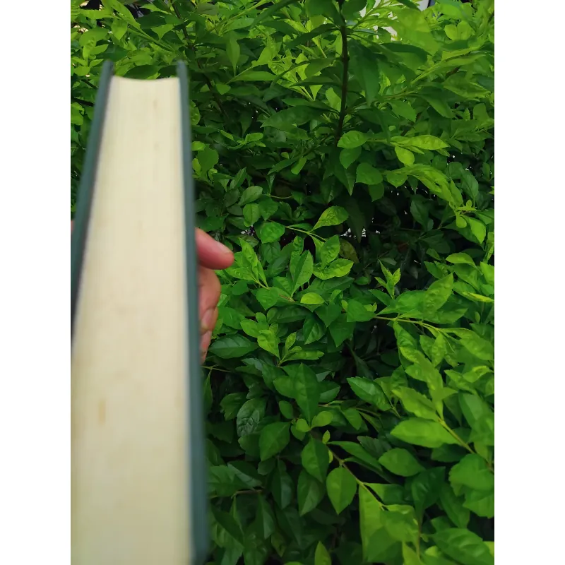 Con gái Ivan, mẹ Ivan của Valentin Rasputin  1002572