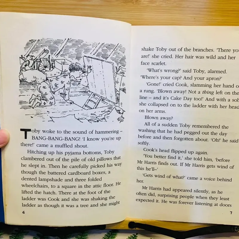 🐟 The Fish in Room 11 – Heather Dyer 571131
