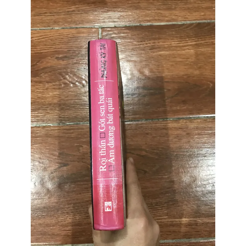 Roi thần Gót sen ba tấc Âm dương bát quái - Phùng Ký Tài (7) 925806