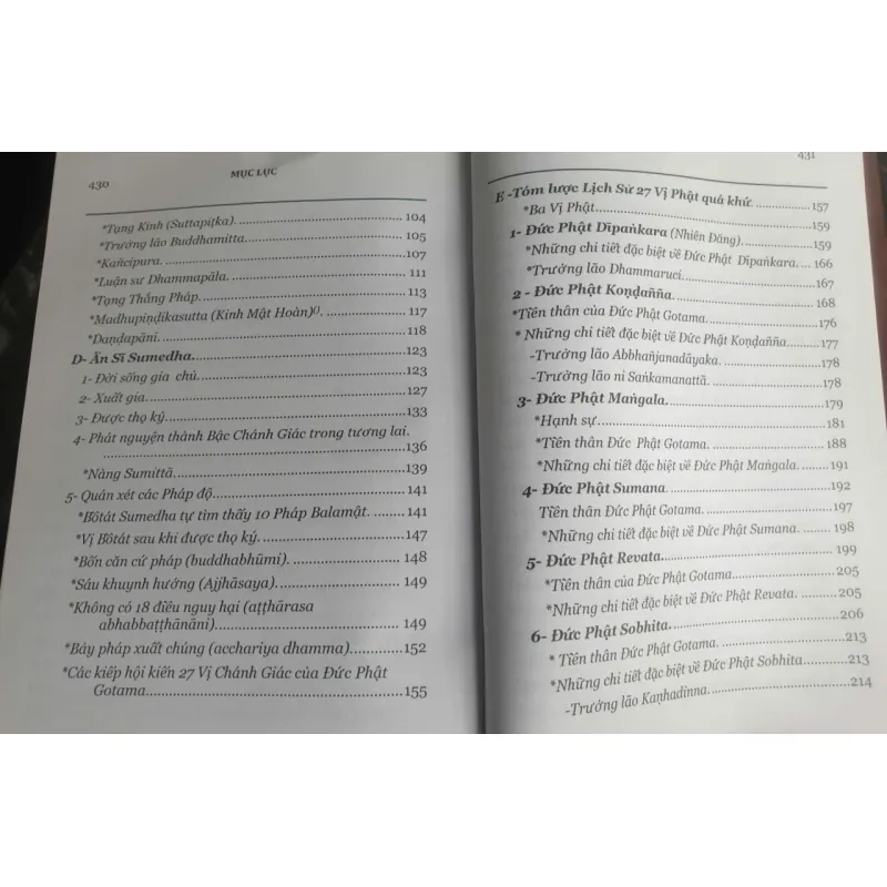 Đức Phật Và 45 Năm Hoàng Pháp Độ Sinh - Tập 10 756662