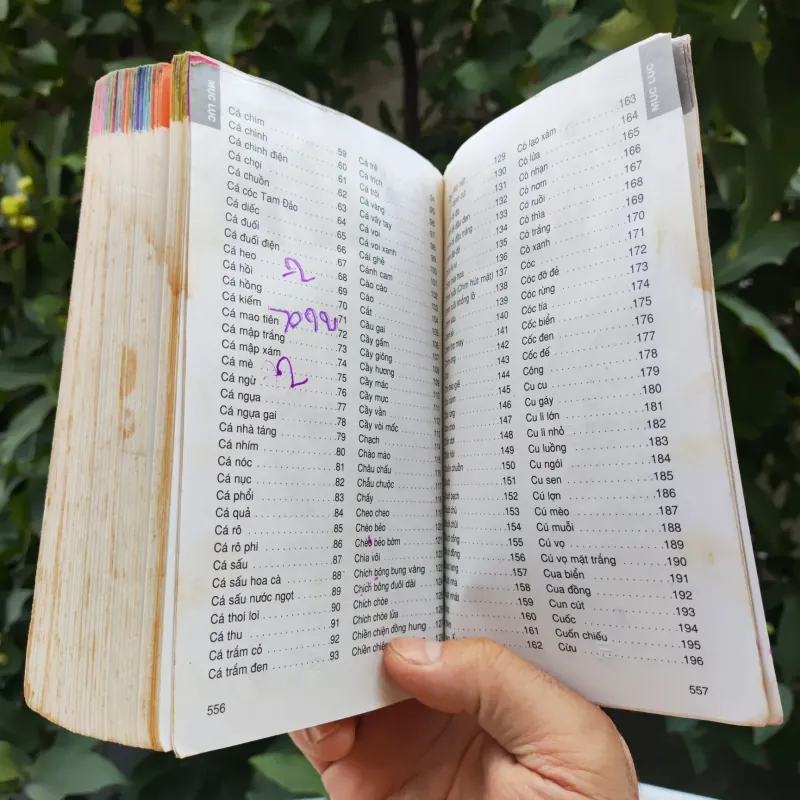 Từ Điển Tranh Về Các Con Vật - Lê Quang Long 753786