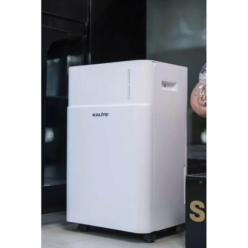 ✨ Máy hút ẩm Kalite DrySense A6 – Dễ sử dụng, an toàn, phù hợp gia đình có trẻ nhỏ! 730758