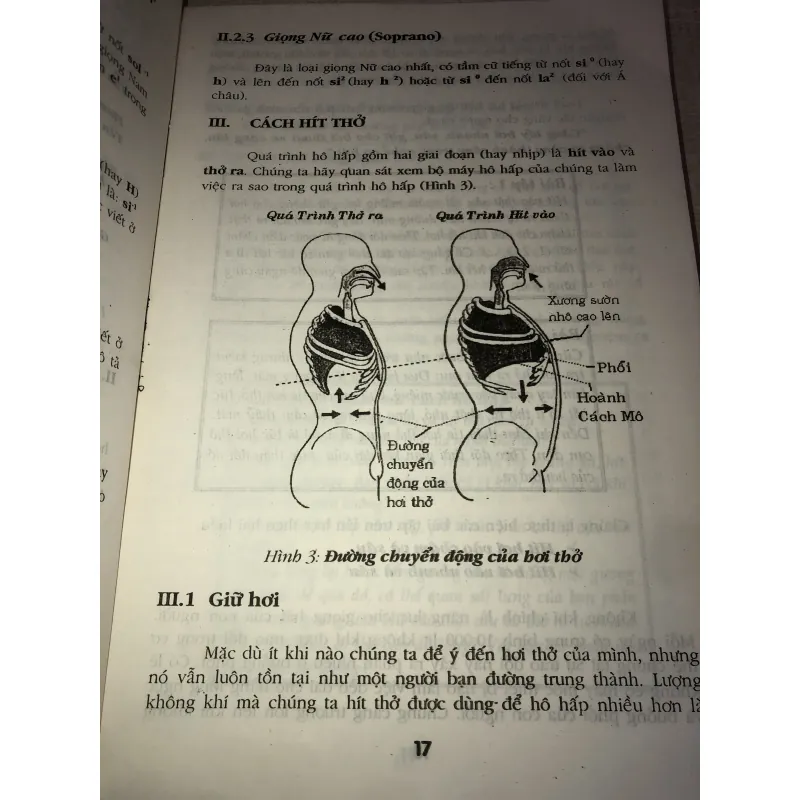 Để thành công trong nghệ thuật ca hát 996386