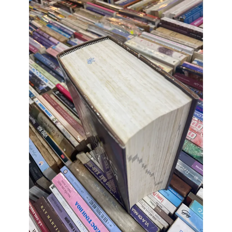 TỪ ĐIỂN VĂN HỌC QUỐC ÂM - NGUYỄN THẠCH GIANG  993041