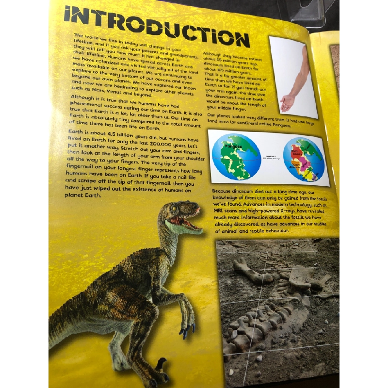 Dinosaurs BÌA CỨNG mới 85% bẩn nhẹ Igilobook HPB2607 NGOẠI VĂN 458717