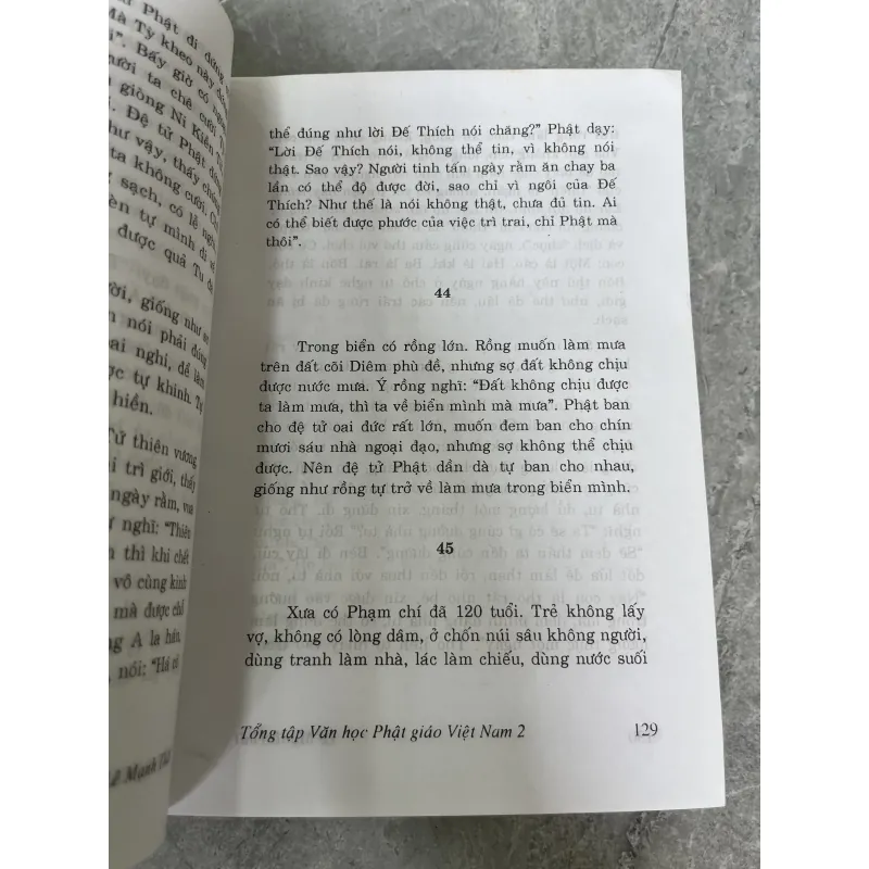 TỔNG TẬP VĂN HỌC PHẬT GIÁO VIỆT NAM - LÊ MẠNH THÁT 1030267