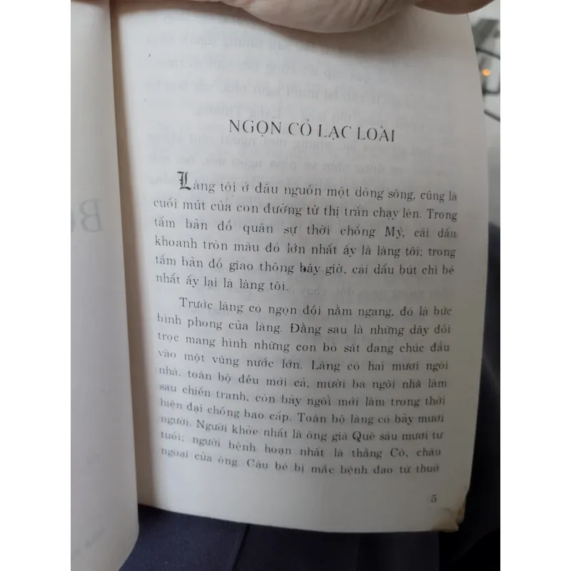 Bồ câu xám" của tác giả Cao Hạnh. 
 695747