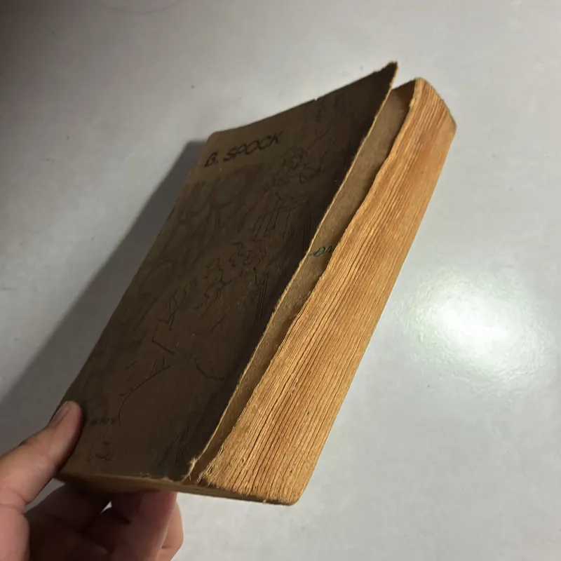 Nuôi dạy con như thế nào - B. Spock - 1989s 736533