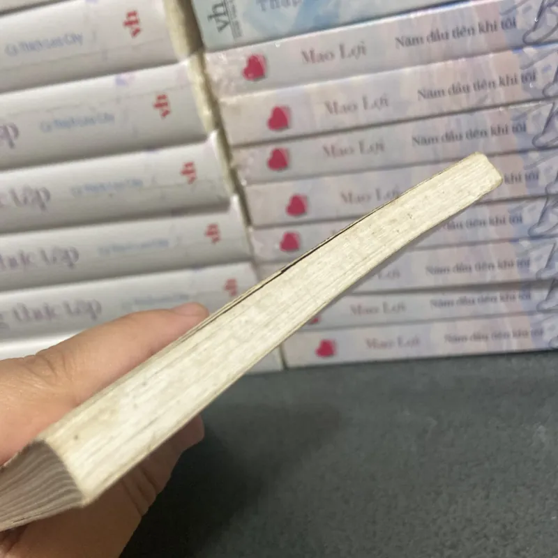 (Ngôn tình) - Xin lỗi em chỉ là con đĩ - Tào Đình 997477