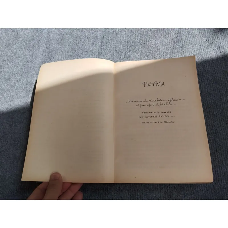 CON CHIM KHÁT TỔ - ROBERT GALBRAITH 574377