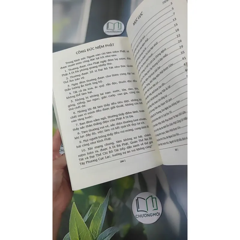 Những Chuyện Niệm Phật Mắt Thấy Tai Nghe - Lâm Khán Trị 1018905