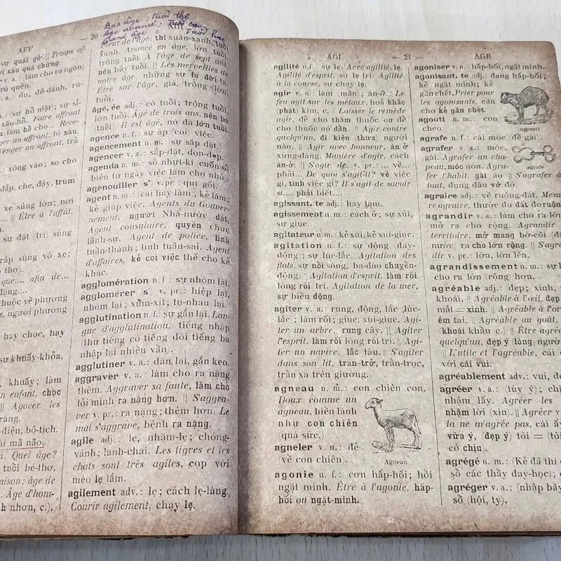 PETIT DICTIONNAIRE FRANCAIS - ANNAMITE
par J.-B.-P TRƯƠNG - VĨNH - KÝ
 1920 562054