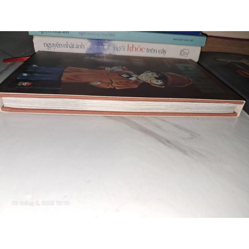 THAM TỬ LỪNG DANH CONAN 100 445969
